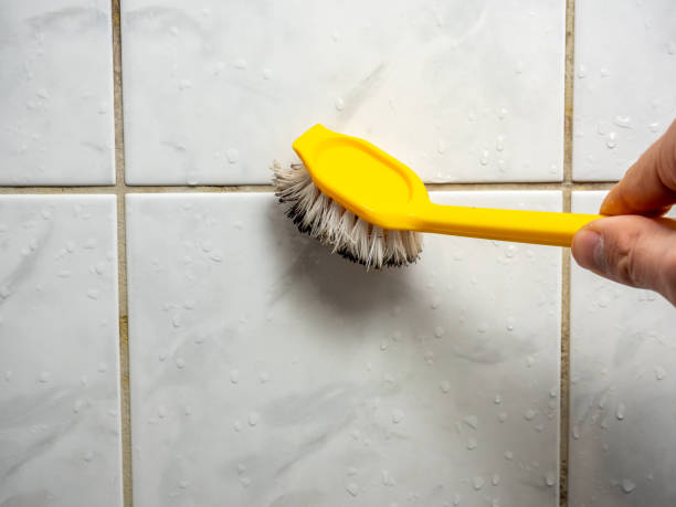 Best Toxic Mold Removal  in Union Gap, WA