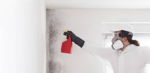 Best Mold Testing  in Union Gap, WA